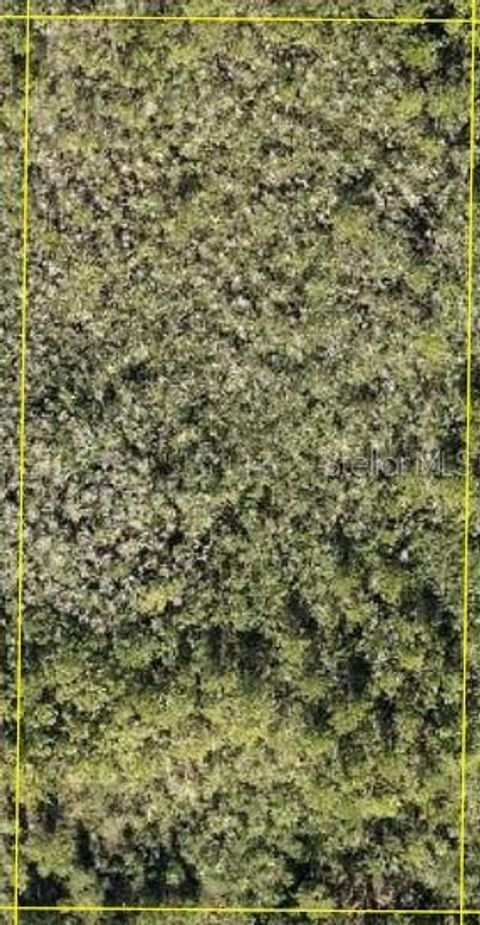 CALVIN LEE CLERMONT FL 34711