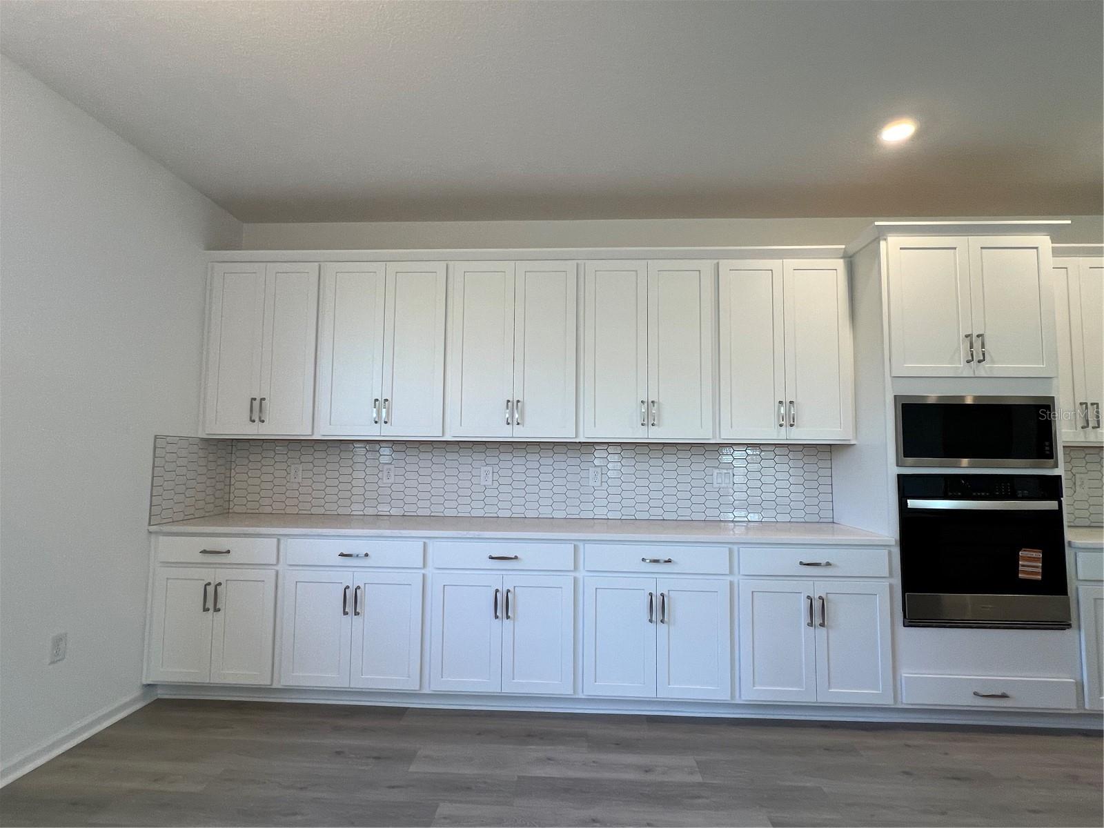 HILLS OF MINNEOLA - Residential