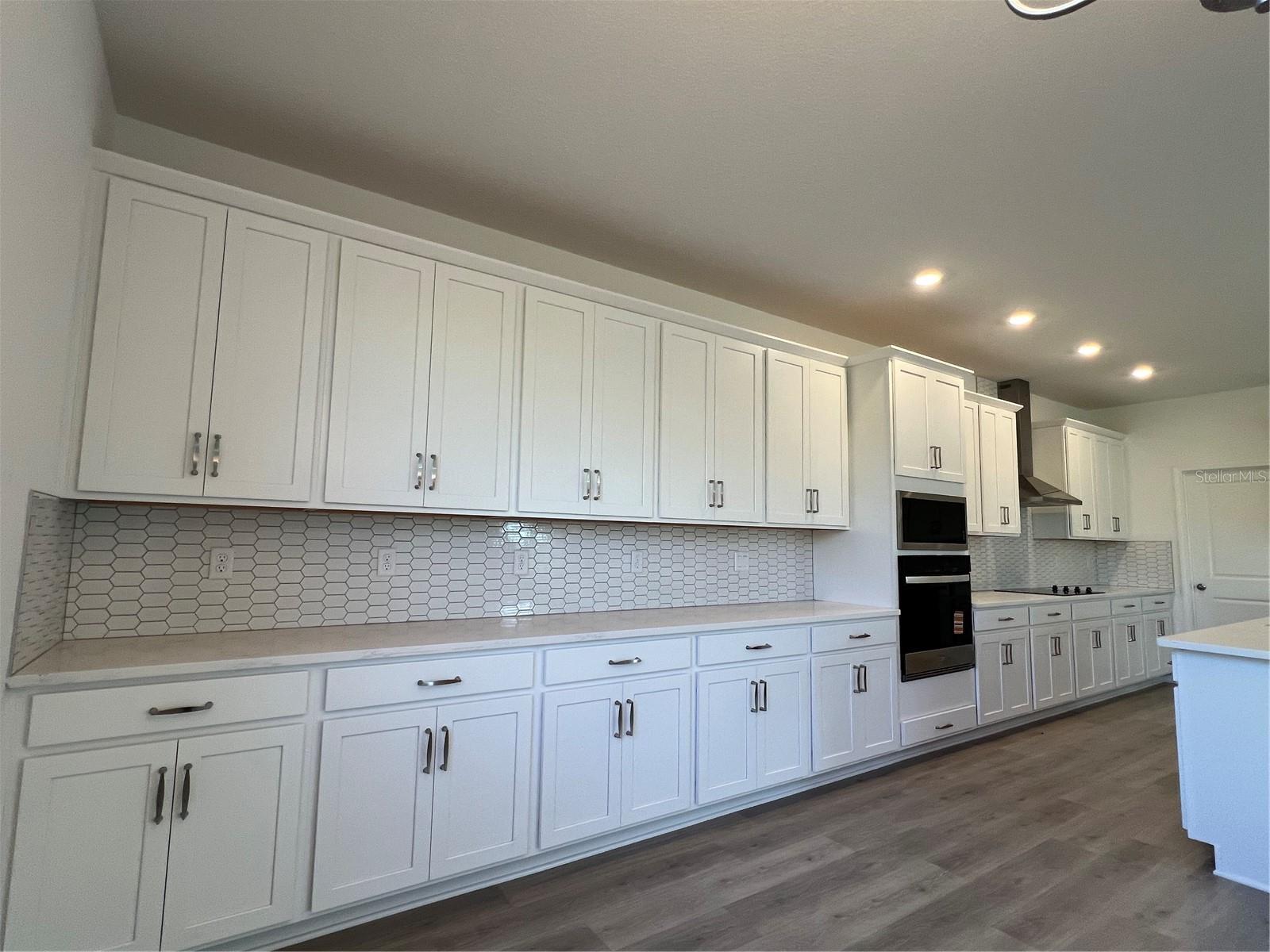 HILLS OF MINNEOLA - Residential