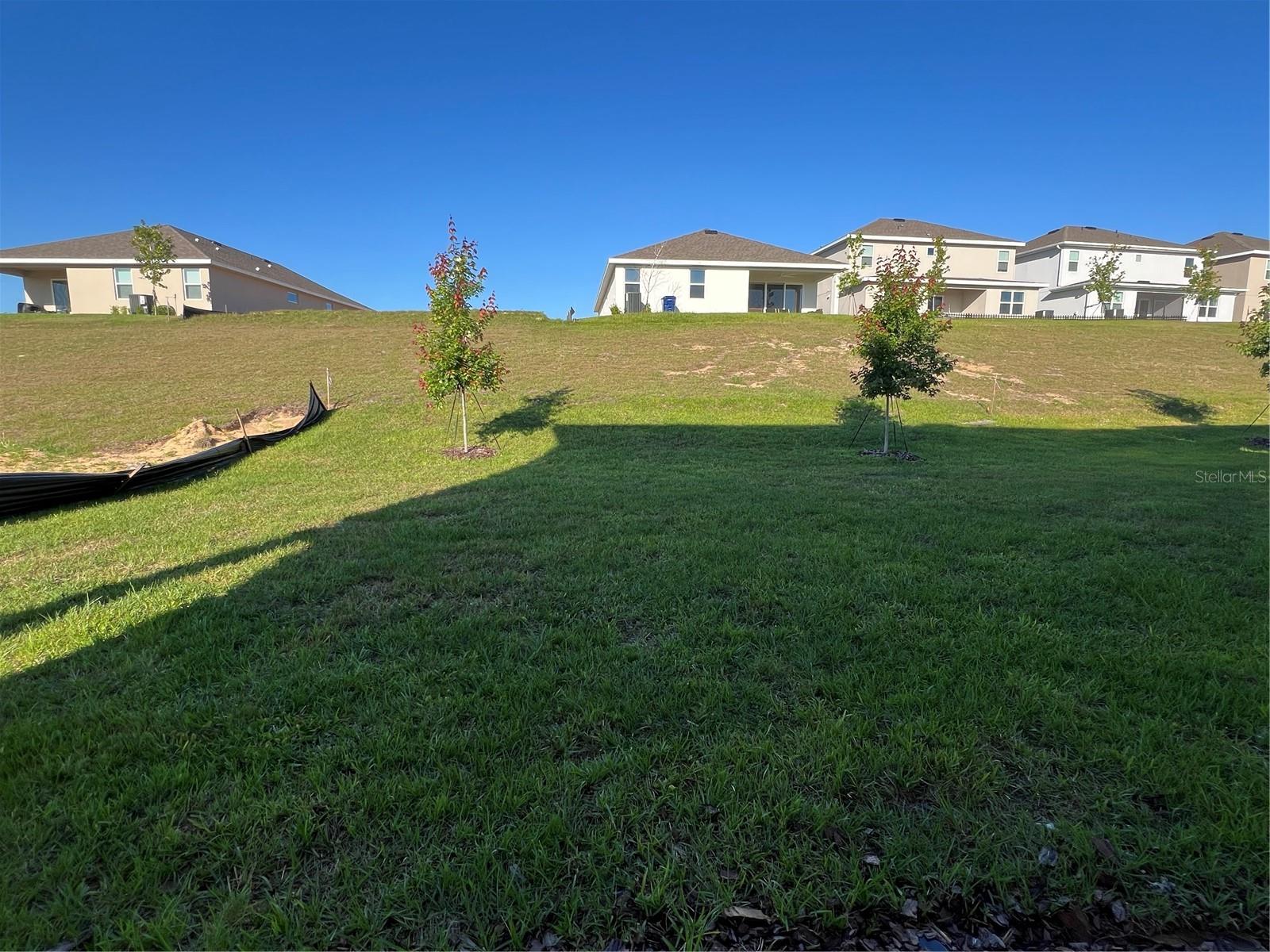 HILLS OF MINNEOLA - Residential