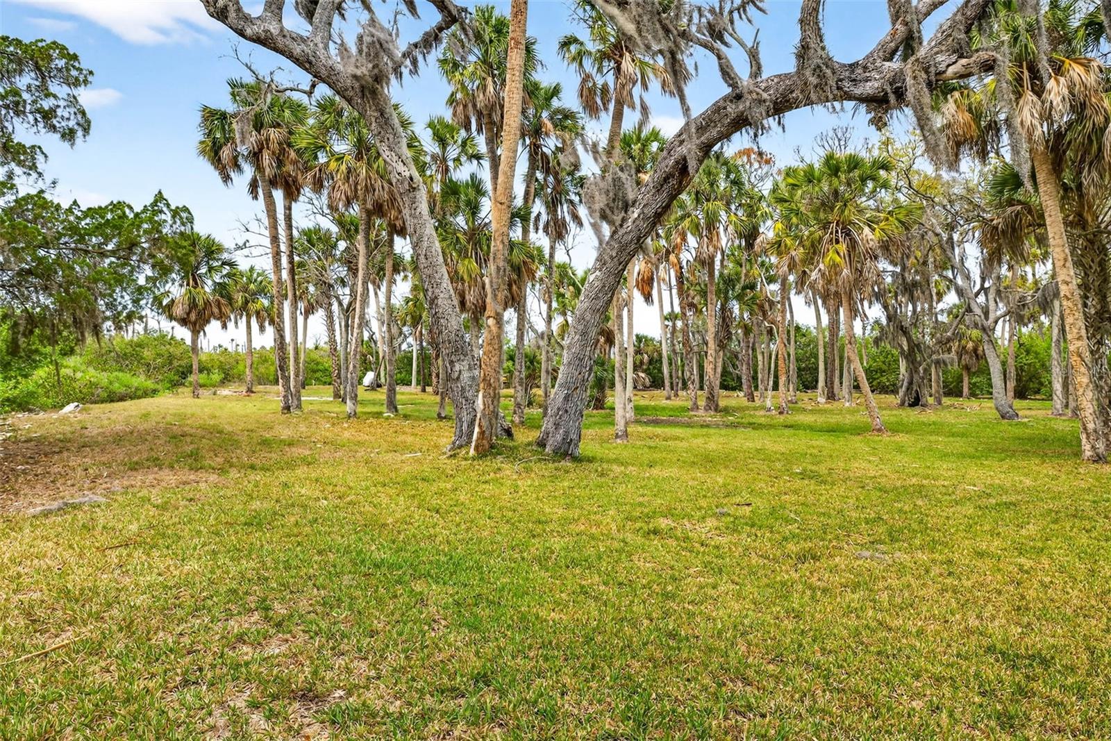 TREASURE COVE - Land