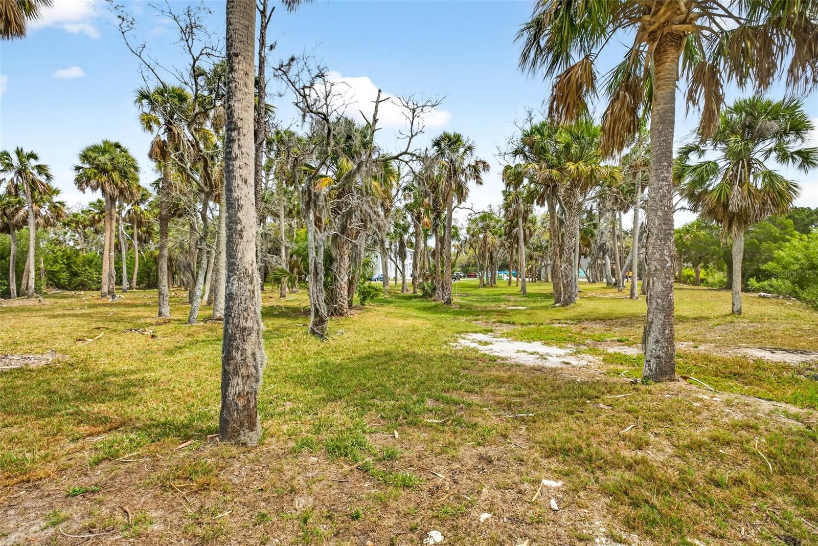 TREASURE COVE - Land