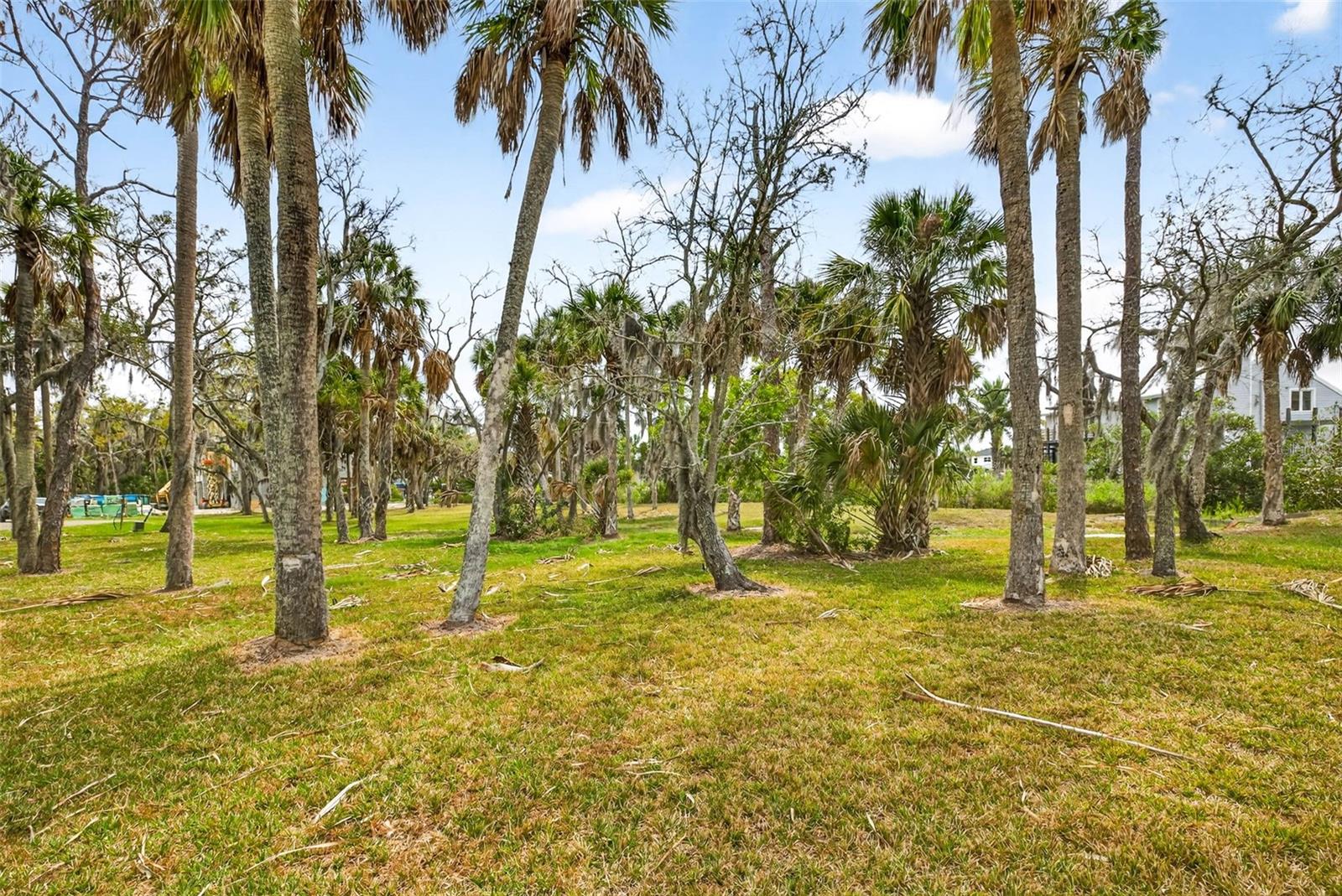 TREASURE COVE - Land