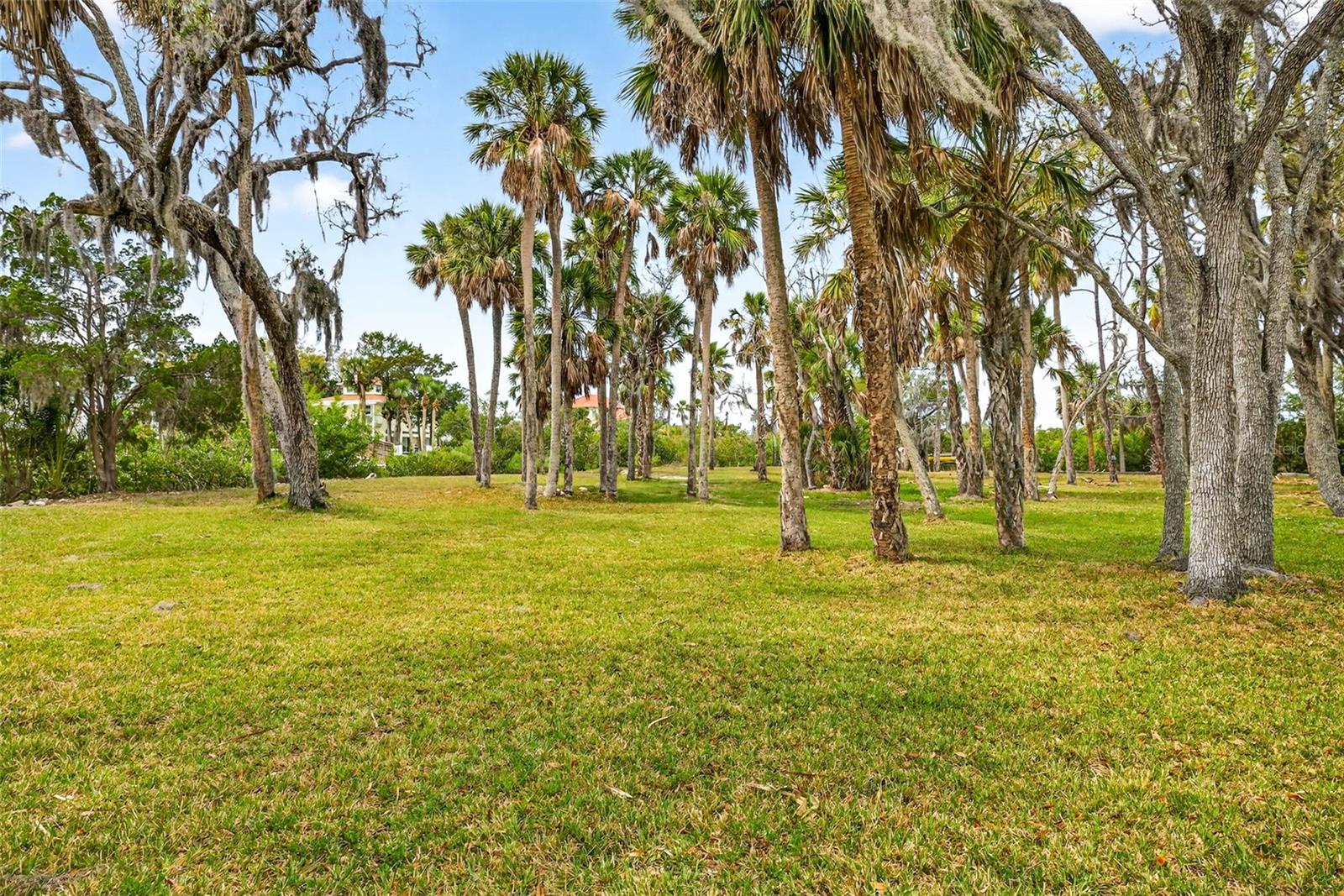 TREASURE COVE - Land