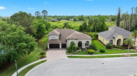 21654 DRAYCOTT WAY LAND O LAKES FL 34637