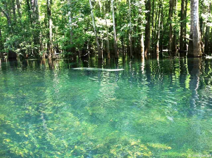 Beautiful High and dry property with adjoining Itchetucknee River access. This unique property has a high and dry lot to build your next dream home. The Property borders the Three Rivers Estate Mid Point Park that fronts the Itchetucknee. Owner has privately owned gate for easy access of your kayaks or canoe or for a quick morning swim. Or travel around the corner to the Point park which fronts the Santa Fe River. The property has well and septic and power and is currently hooked up to existing camper with covered deck and storage building that is included in the sale. So you can spend a weekend or a month enjoying the peace and quiet of country living surrounded by some of the most beautiful waterways North Florida has to offer. Owner financing considered. Well - 2 inch. Open Builder.