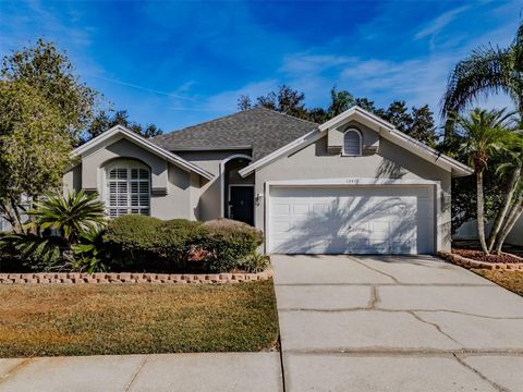 13419 EUDORA PLACE TAMPA FL 33626