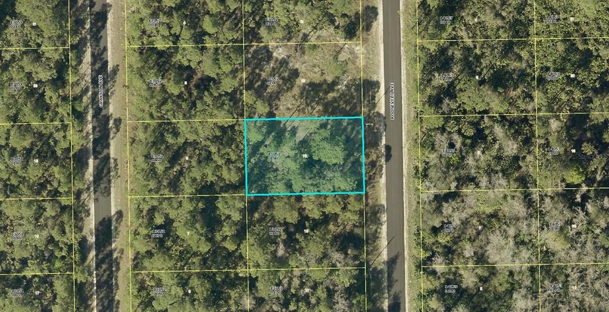 Discover the perfect opportunity to own this spacious nearly 1/4-acre parcel, offering endless possibilities for your dream home or investment. This property gives you the flexibility to buy now and build later, with no time restrictions on construction. Whether you’re planning your future residence or securing a valuable piece of land, this parcel provides ample space for creativity and growth. Enjoy the freedom to design and build at your own pace in a location that blends convenience and tranquility. Don’t miss out on this incredible chance to secure your slice of potential—act now and start envisioning your dream property today!