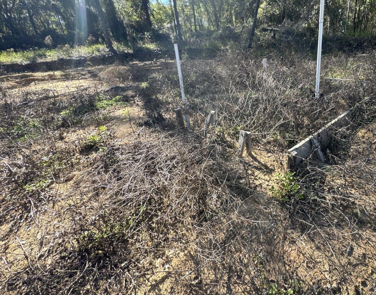 CITRUS SPGS UNIT 04 - Land