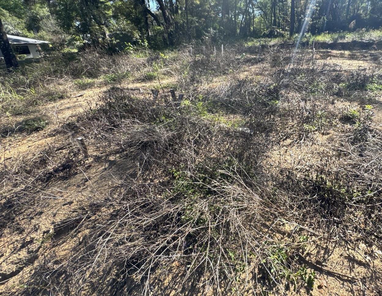 CITRUS SPGS UNIT 04 - Land