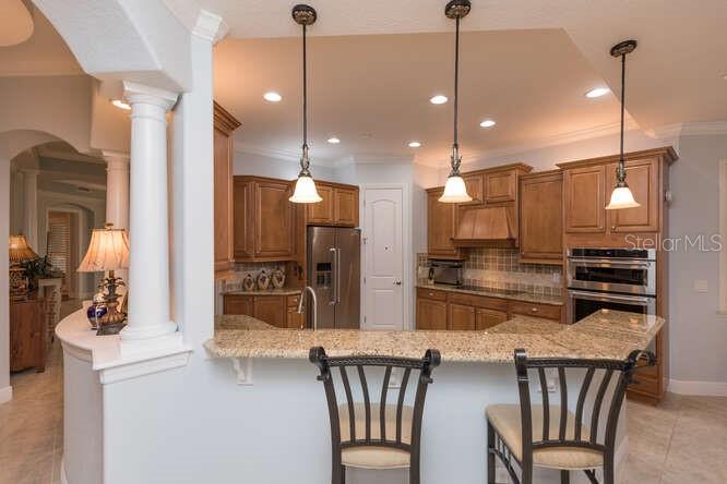 HAMMOCK/PALM HARBOR - Residential