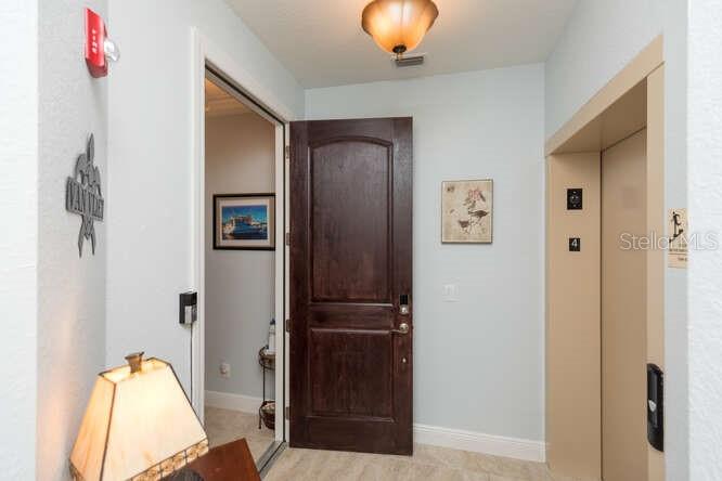 HAMMOCK/PALM HARBOR - Residential