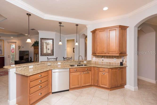 HAMMOCK/PALM HARBOR - Residential