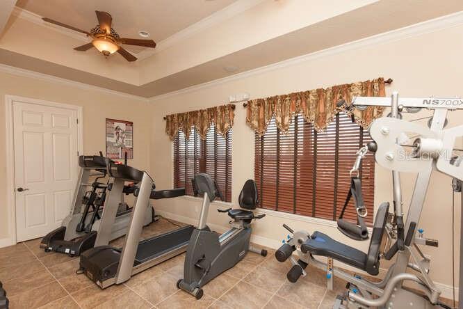 HAMMOCK/PALM HARBOR - Residential