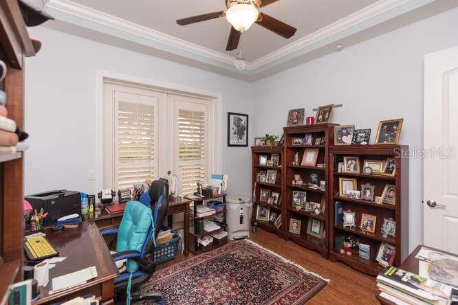 HAMMOCK/PALM HARBOR - Residential