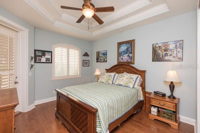 HAMMOCK/PALM HARBOR - Residential