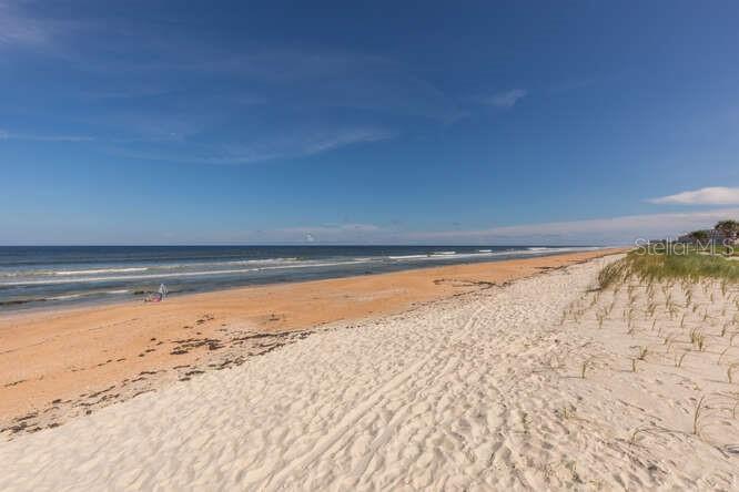 HAMMOCK/PALM HARBOR - Residential