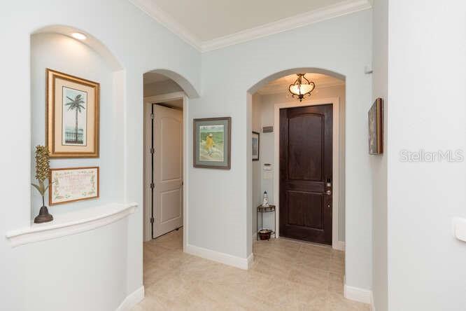 HAMMOCK/PALM HARBOR - Residential