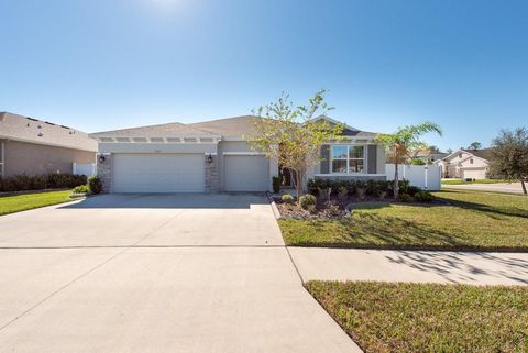 A home in RIVERVIEW