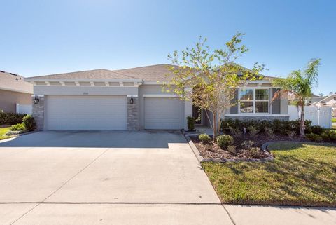 A home in RIVERVIEW