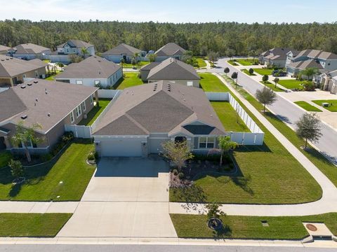 A home in RIVERVIEW