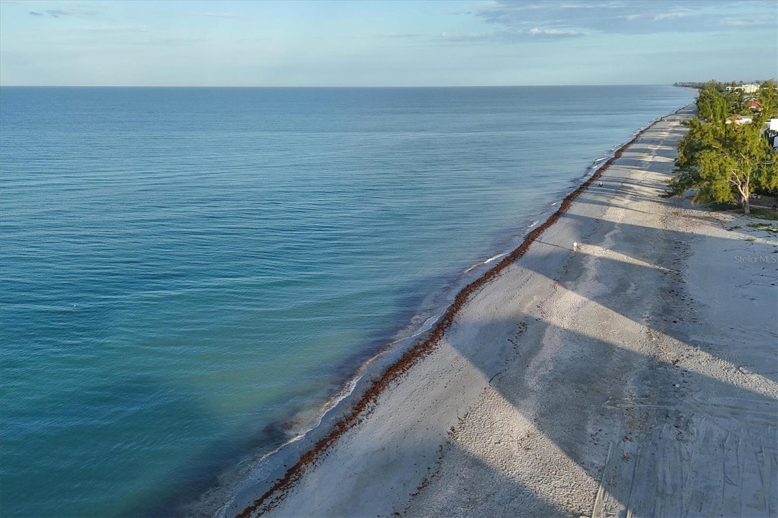 LEMON BAY ESTATES - Land