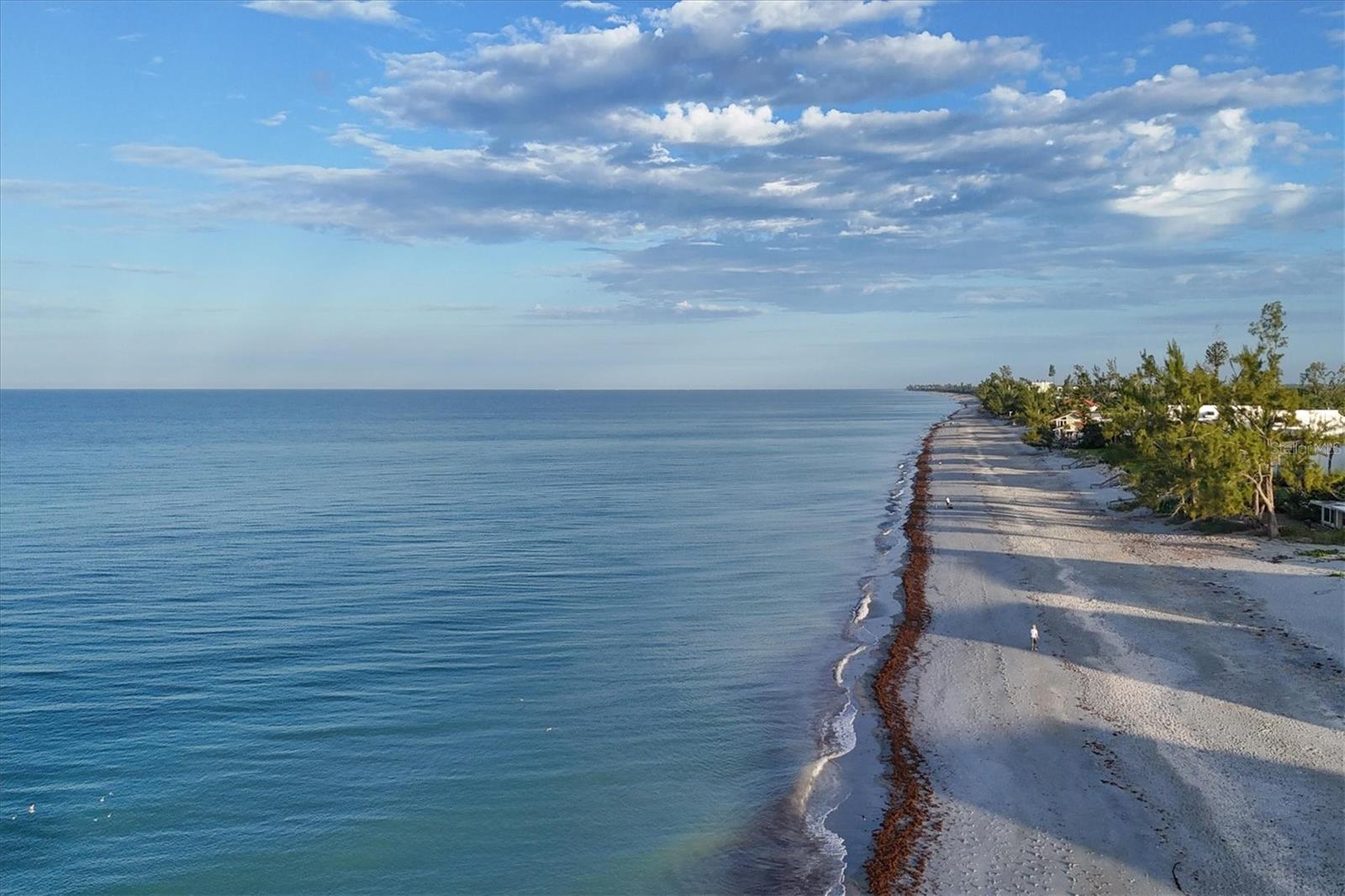 LEMON BAY ESTATES - Land