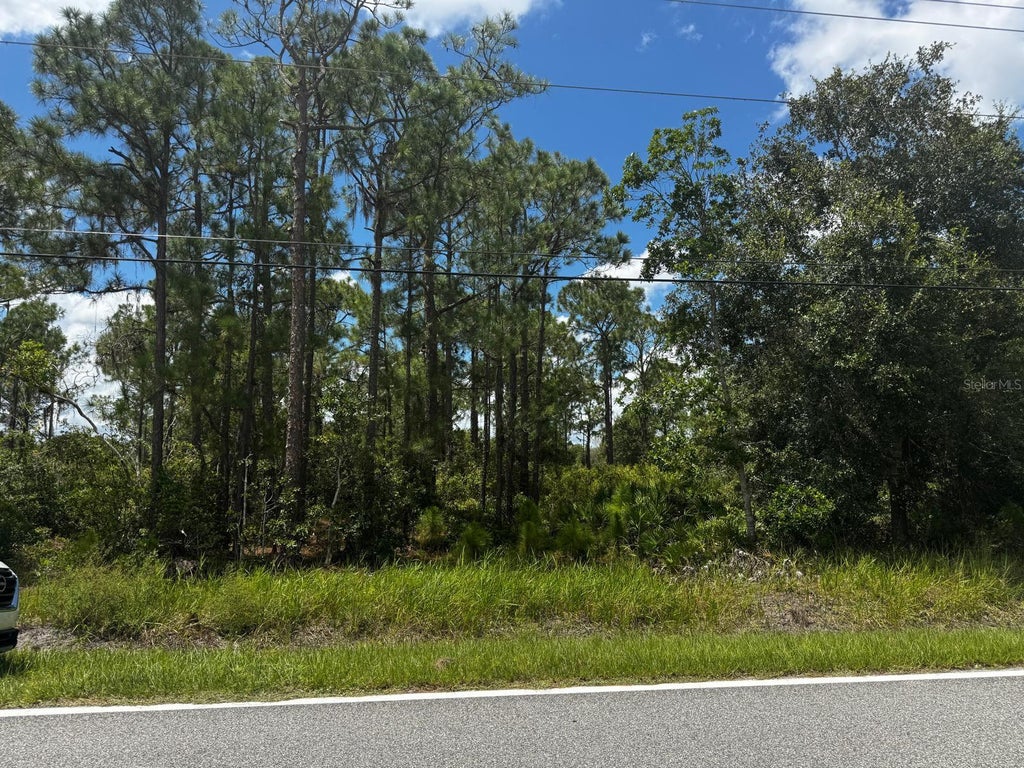 Photo of Mcclellan Road #49, Frostproof, FL 33843 (MLS # P4939866)