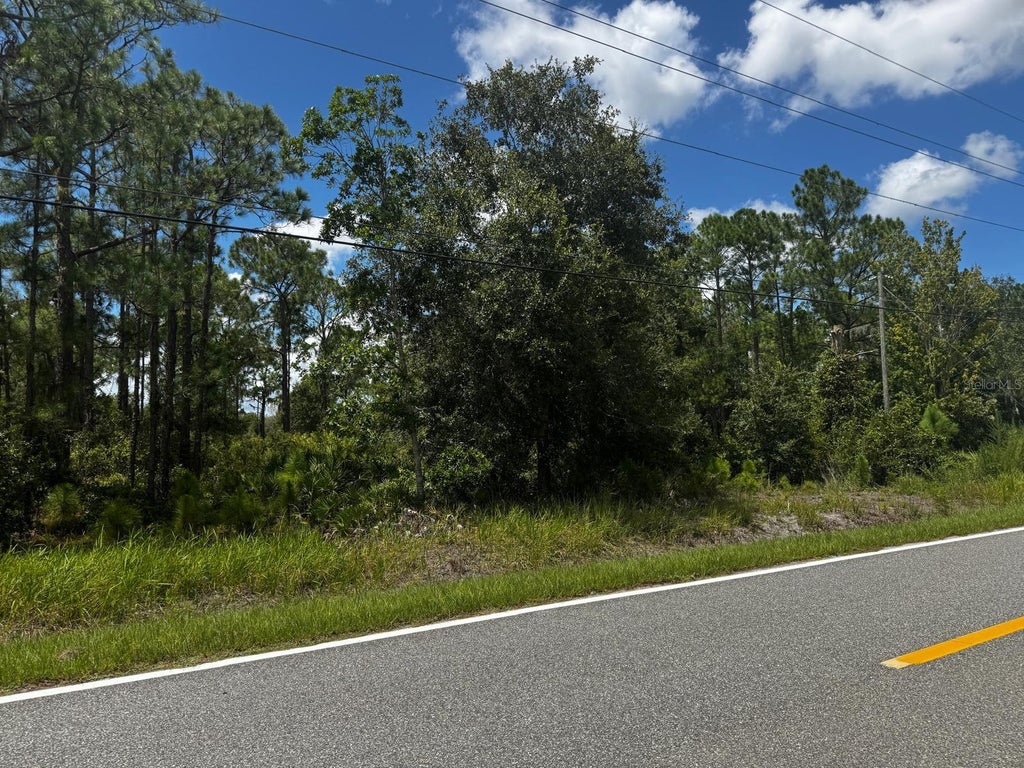 Photo of Mcclellan Road #49, Frostproof, FL 33843 (MLS # P4939866)