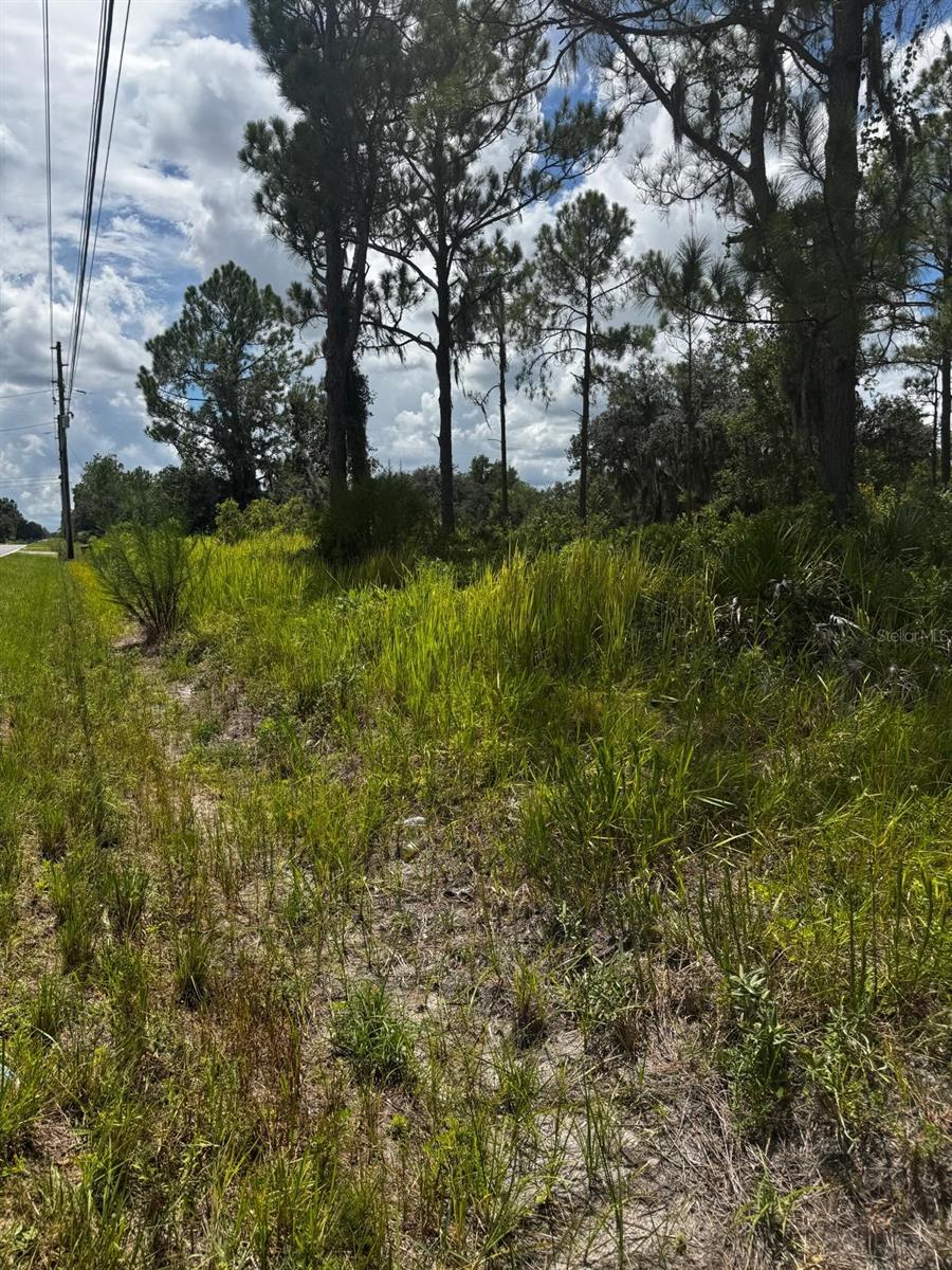 Photo of Mcclellan Road #49, Frostproof, FL 33843 (MLS # P4939866)