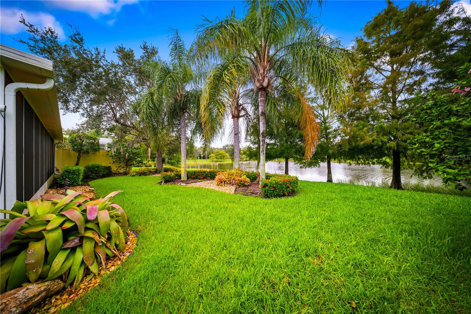 TRADITION 30 - Residential Lease