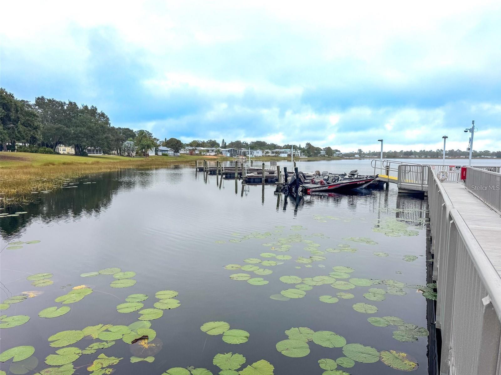 SADDLEBAG - Residential