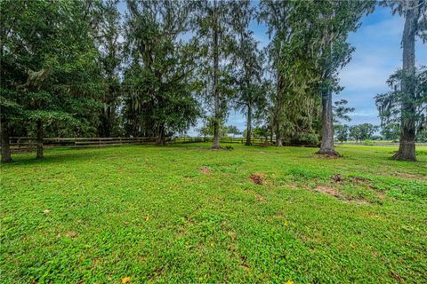 Tiny photo for 12615 NW Gainesville Road, Reddick, FL 32686 (MLS # OM709619)