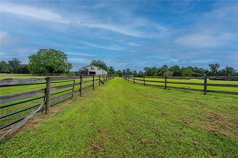 Tiny photo for 12615 NW Gainesville Road, Reddick, FL 32686 (MLS # OM709619)