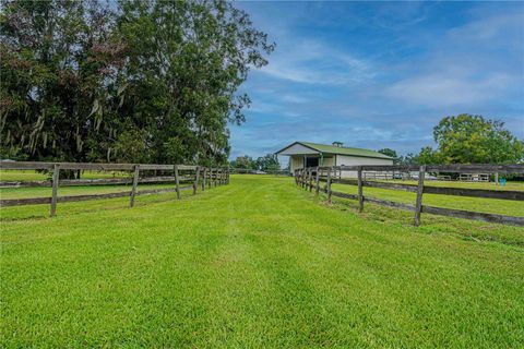 Tiny photo for 12615 NW Gainesville Road, Reddick, FL 32686 (MLS # OM709619)