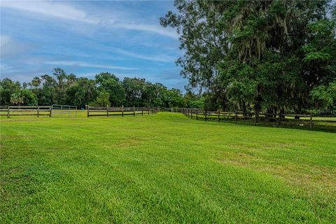 Tiny photo for 12615 NW Gainesville Road, Reddick, FL 32686 (MLS # OM709619)