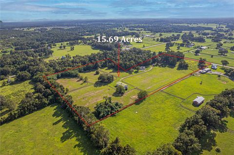 Tiny photo for 12615 NW Gainesville Road, Reddick, FL 32686 (MLS # OM709619)