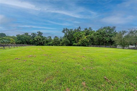 Tiny photo for 12615 NW Gainesville Road, Reddick, FL 32686 (MLS # OM709619)
