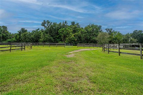 Tiny photo for 12615 NW Gainesville Road, Reddick, FL 32686 (MLS # OM709619)