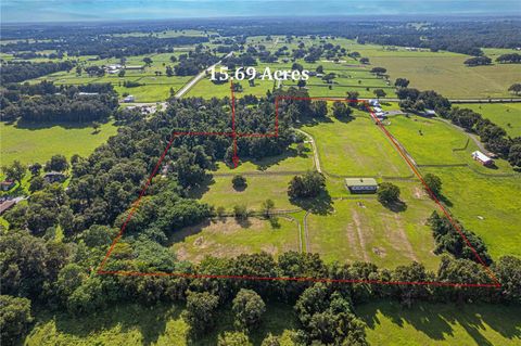 Tiny photo for 12615 NW Gainesville Road, Reddick, FL 32686 (MLS # OM709619)