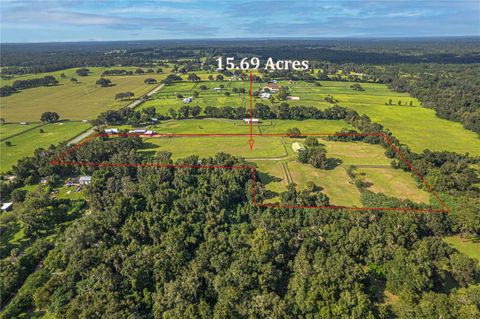 Tiny photo for 12615 NW Gainesville Road, Reddick, FL 32686 (MLS # OM709619)