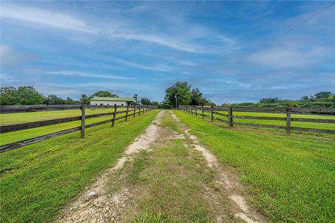 Tiny photo for 12615 NW Gainesville Road, Reddick, FL 32686 (MLS # OM709619)