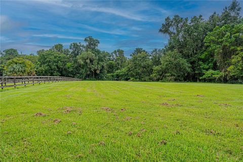 Tiny photo for 12615 NW Gainesville Road, Reddick, FL 32686 (MLS # OM709619)