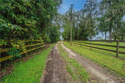 Tiny photo for 12615 NW Gainesville Road, Reddick, FL 32686 (MLS # OM709619)