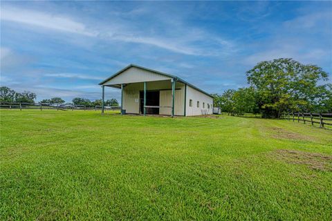 Tiny photo for 12615 NW Gainesville Road, Reddick, FL 32686 (MLS # OM709619)