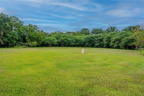 Tiny photo for 12615 NW Gainesville Road, Reddick, FL 32686 (MLS # OM709619)