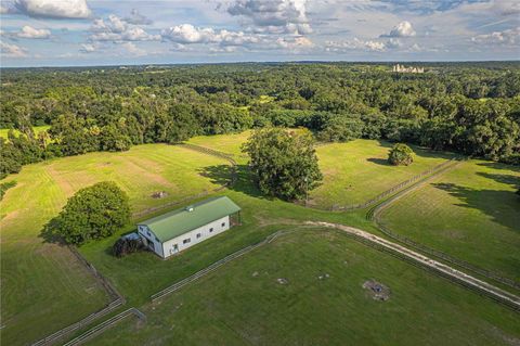 Tiny photo for 12615 NW Gainesville Road, Reddick, FL 32686 (MLS # OM709619)