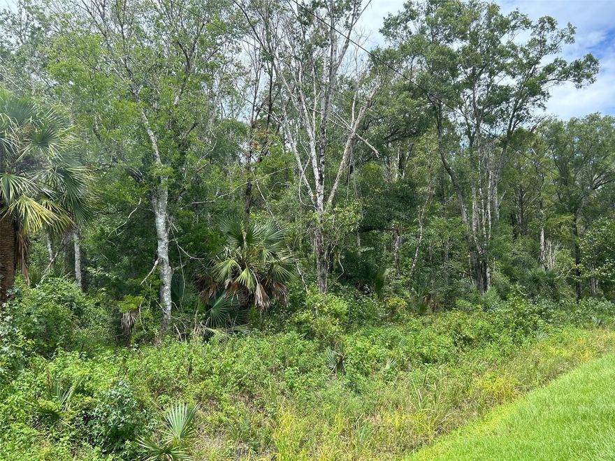 Build Your Florida Dream in Flagler Estates!
Welcome to Flagler Estates, a rapidly growing rural community in the heart of Northeast Florida—where wide-open spaces, starry nights, and freedom await. This beautiful lot offers the perfect opportunity to build your custom dream home just a short drive from historic St. Augustine and within 40 minutes of the stunning Atlantic beaches.
Centrally located between Jacksonville and Daytona Beach, and between St. Augustine and Palatka, this property delivers the ideal balance of peaceful country living with convenient access to major cities, dining, shopping, and entertainment. With no HOA, you’ll enjoy the freedom to live your way—bring your farm animals, plant gardens, park work trucks, or store your recreational toys with room to spare.
Outdoor enthusiasts will love the proximity to I-95, freshwater fishing, scenic trails, and nearby parks. Experience the tranquility of rural Florida living while still being close to everything that makes the area so desirable.
All inspections and improvements are the buyer’s responsibility, giving you complete control to design and customize your ideal homestead. Don’t miss this rare opportunity to own affordable acreage in a prime location near Florida’s coastline, historic charm, and growing cities—your slice of country paradise awaits!