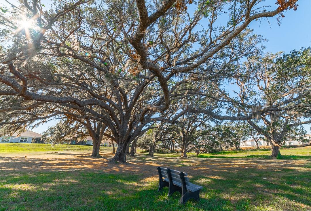 MIRADA TOWNHOMES - Residential Lease