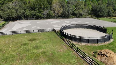 Tiny photo for 21051 SE 42nd Street, Morriston, FL 32668 (MLS # OM710904)